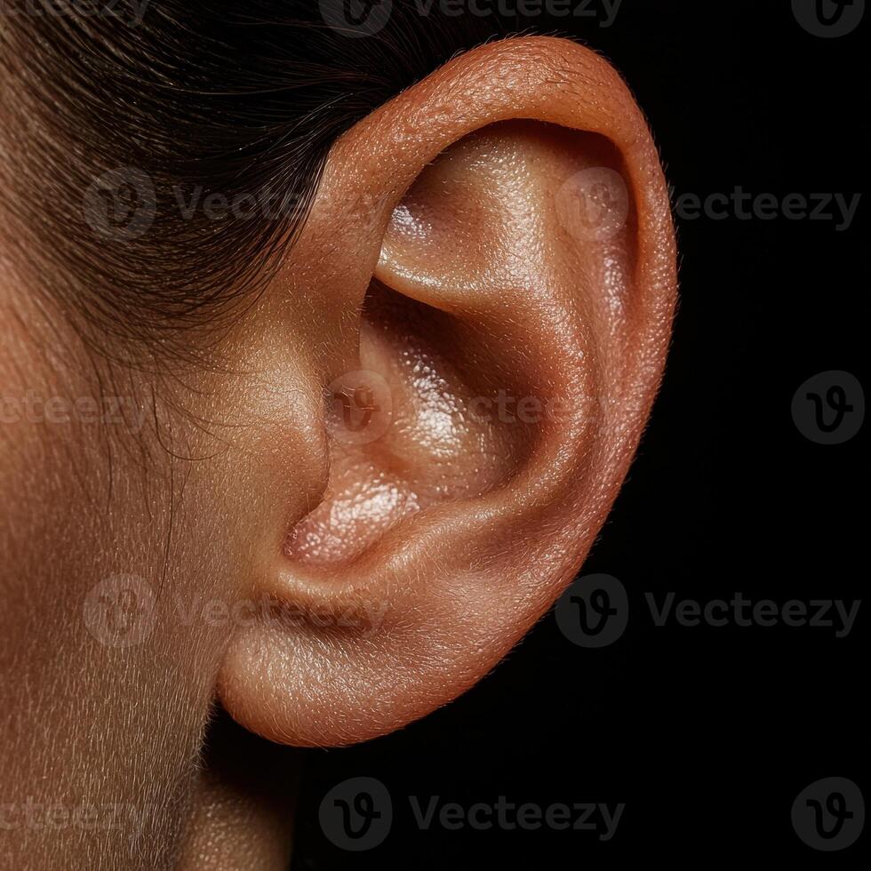 Close up of a womans ear, showing intricate details and skin texture. photo
