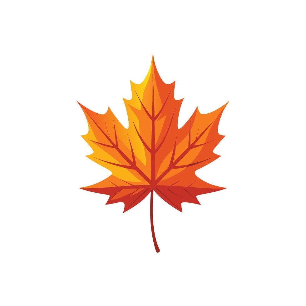 Autumn Elegance Realistic Maple Leaf Artwork vector