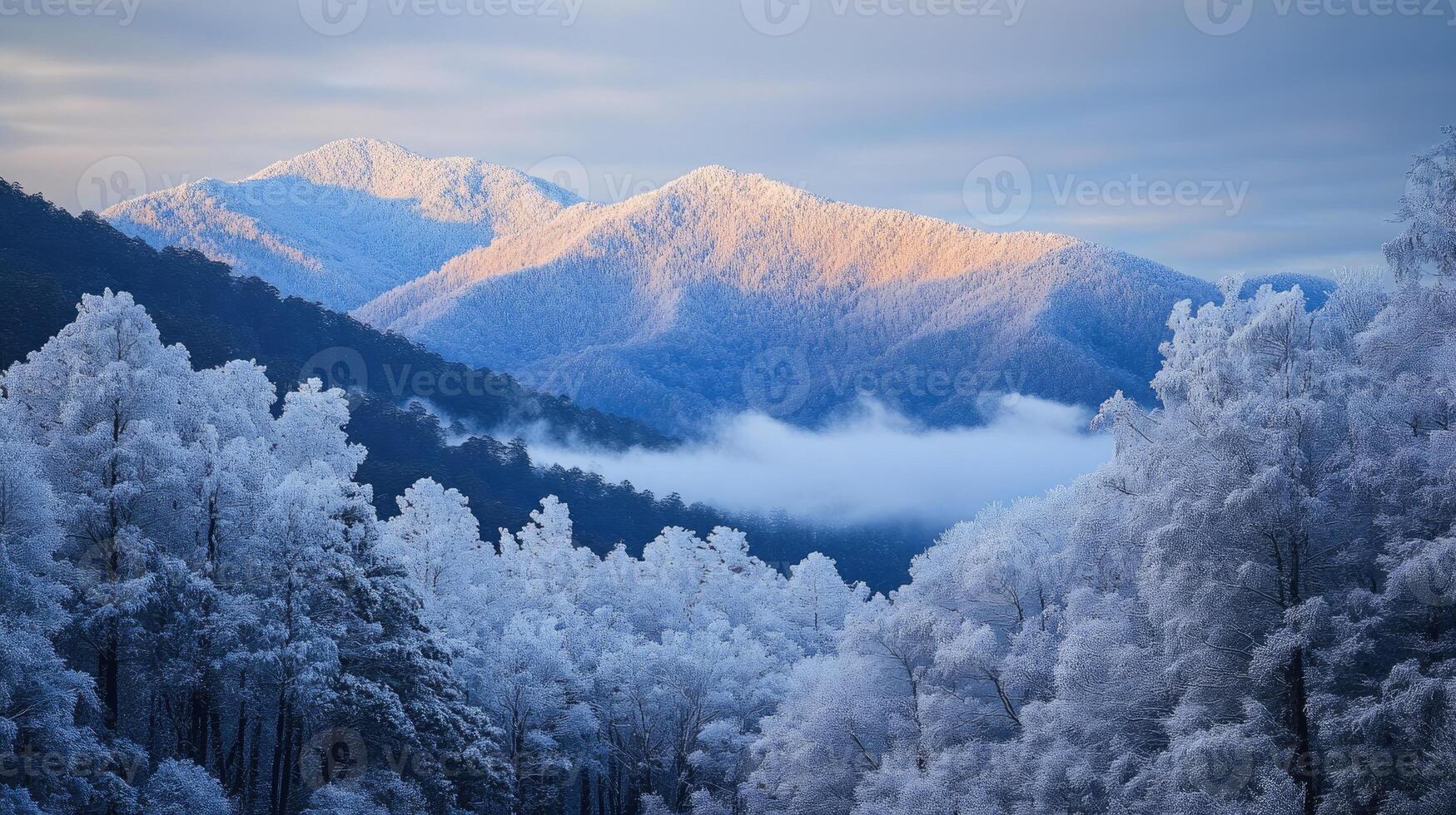 Sunrise illuminating frost covered trees and mountains in winter photo