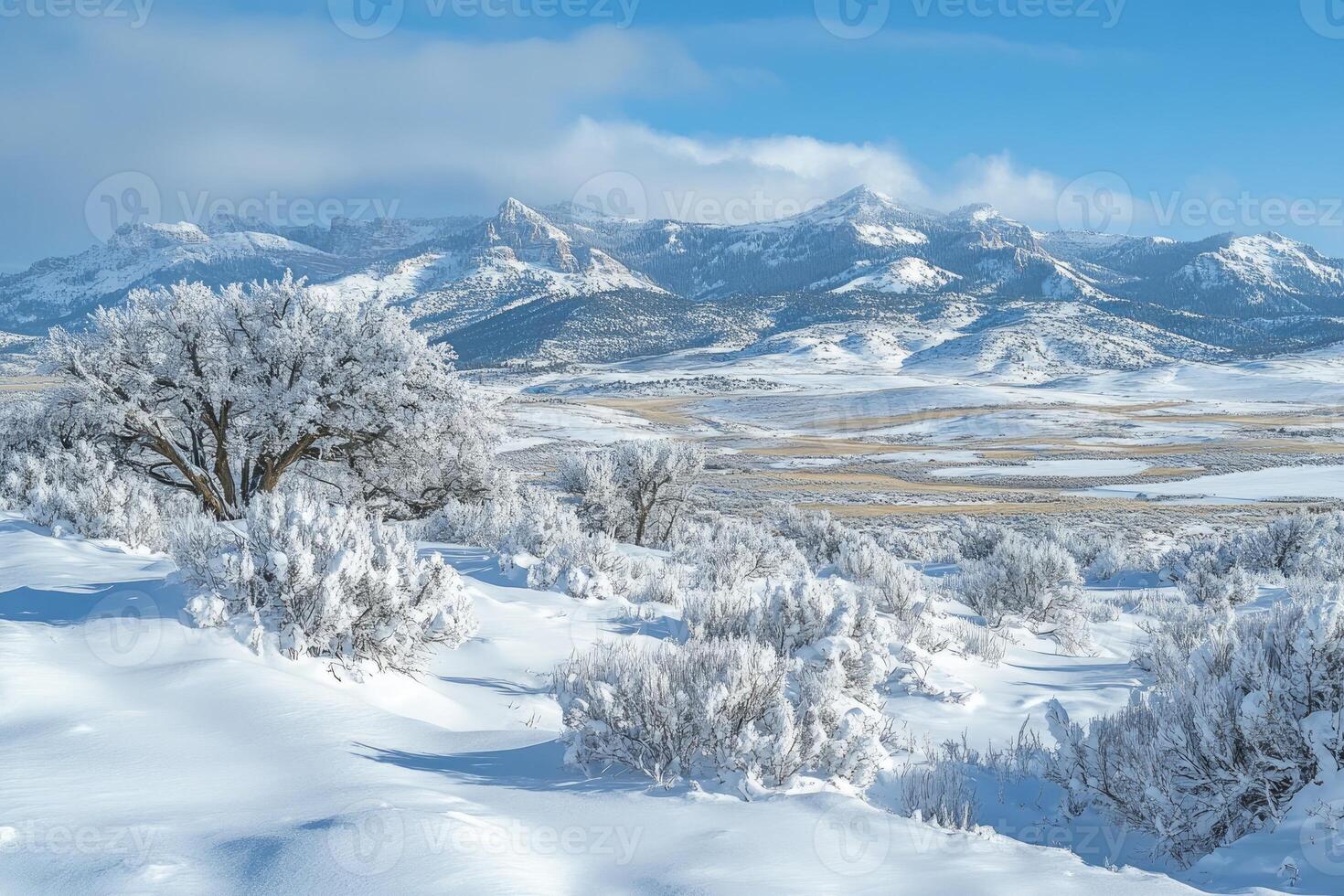 Snowy mountains rising above frosted valley in winter landscape photo