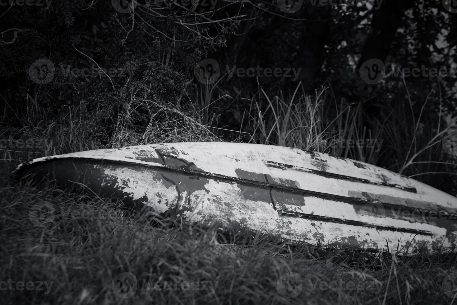 Old boat abandoned in tall grass near a forest under soft light in late afternoon photo