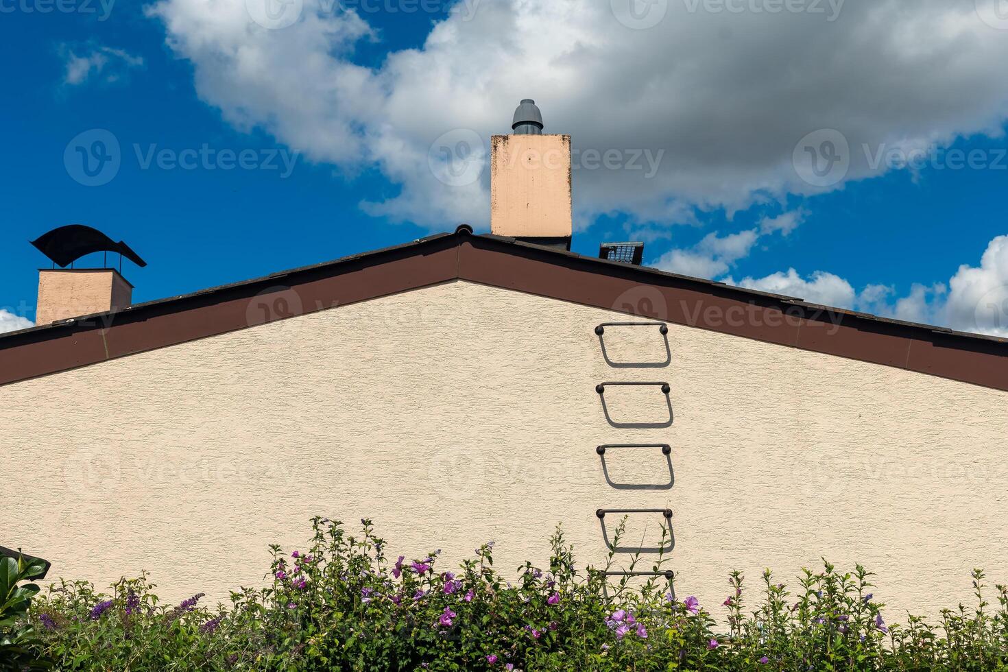Charming building with climbing ladder surrounded by blooming flowers and an expansive blue sky photo