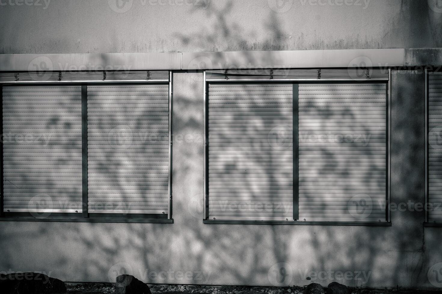 Shadows of trees cast against a building wall during twilight hours in a serene urban neighborhood photo