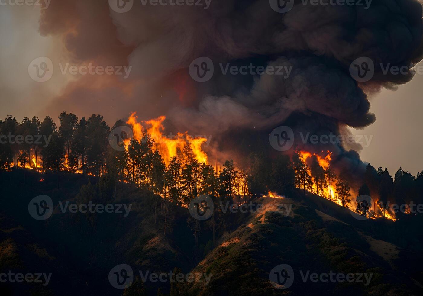 Los Angeles Forest Ablaze Raging Flames Consuming Woodland in Los Angeles Scene of Destruction photo