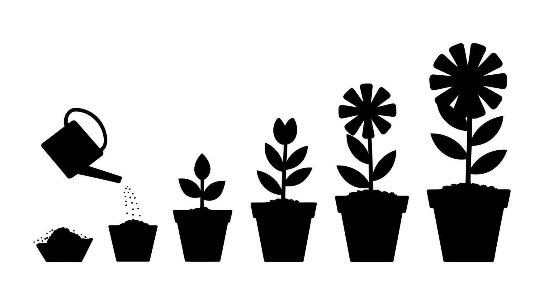 Art of Plant Growth Stages in Pots - Watering to Blooming Process vector