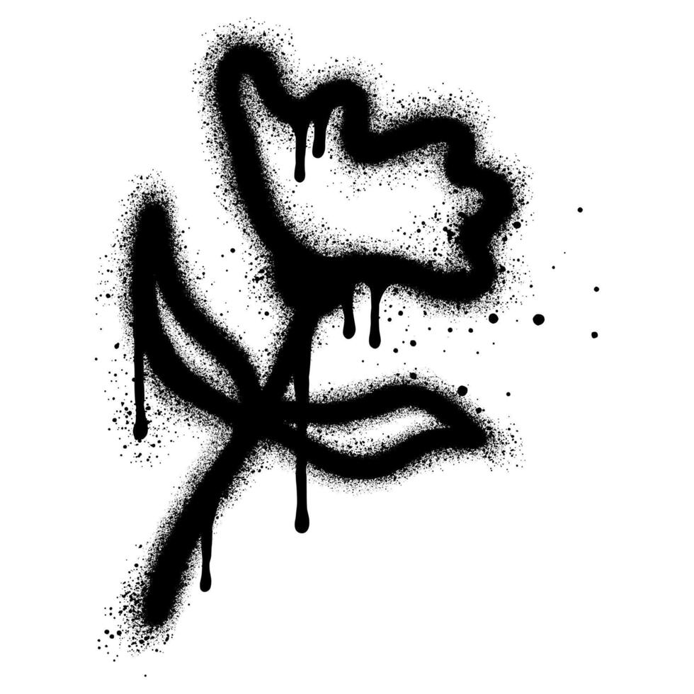 Spray Painted Graffiti flower Sprayed isolated with a white background. eps 10. vector