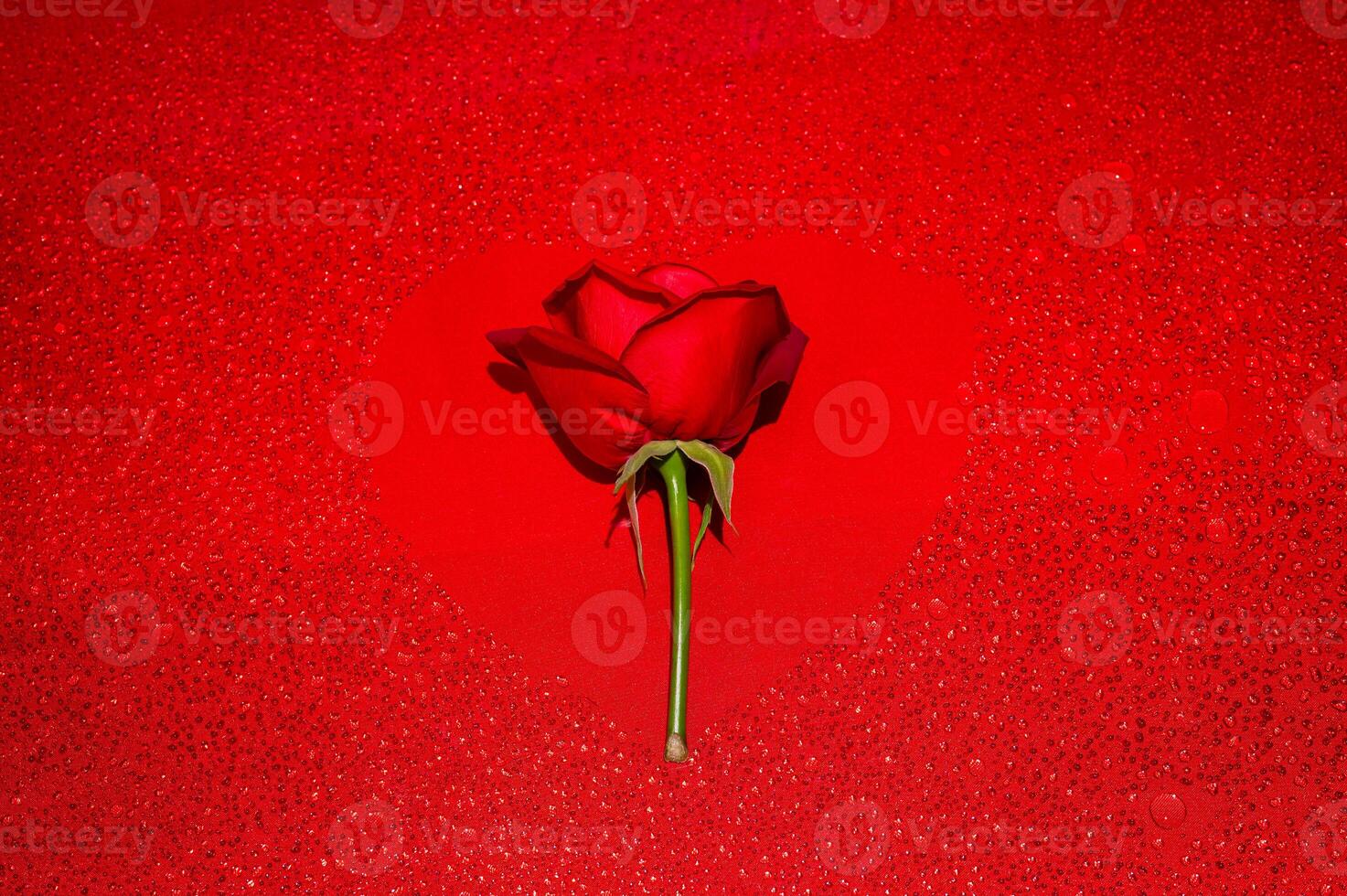 Red rose puts on love shape background with water drop frame on red cloth background for Mother and Valentine's day concept. photo