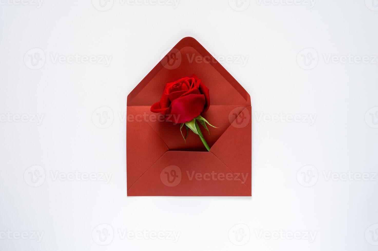 Red rose puts in red open envelope on white background for Valentine's and Mother day minimal concept. photo