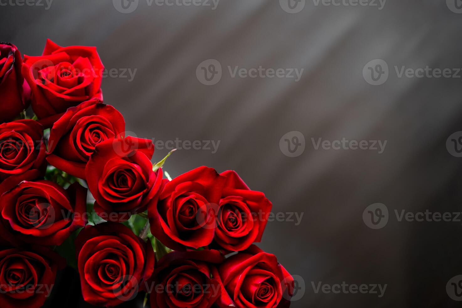 Focus and blurred on red roses with black background for Valentine's and Mother day concept. photo