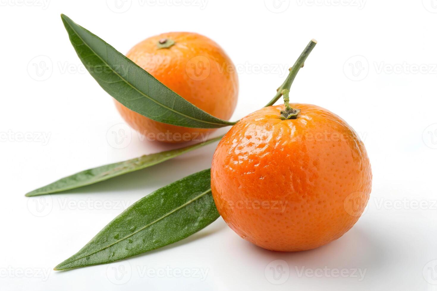 Fresh tangerines with leaves on white background. Clipping path photo