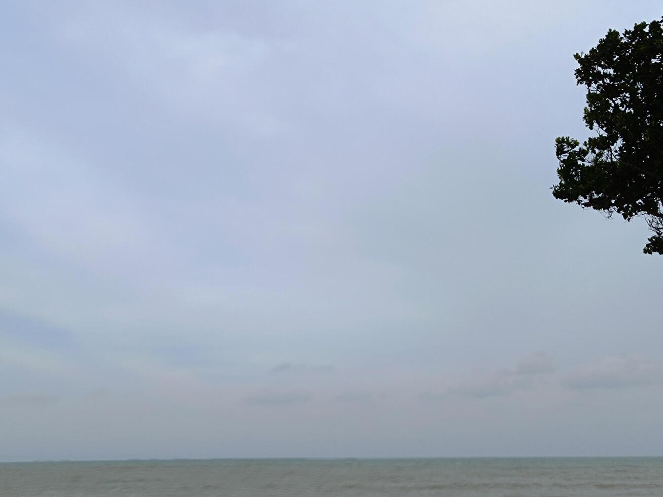 Picture of ocean, tree in the corner of the frame. photo