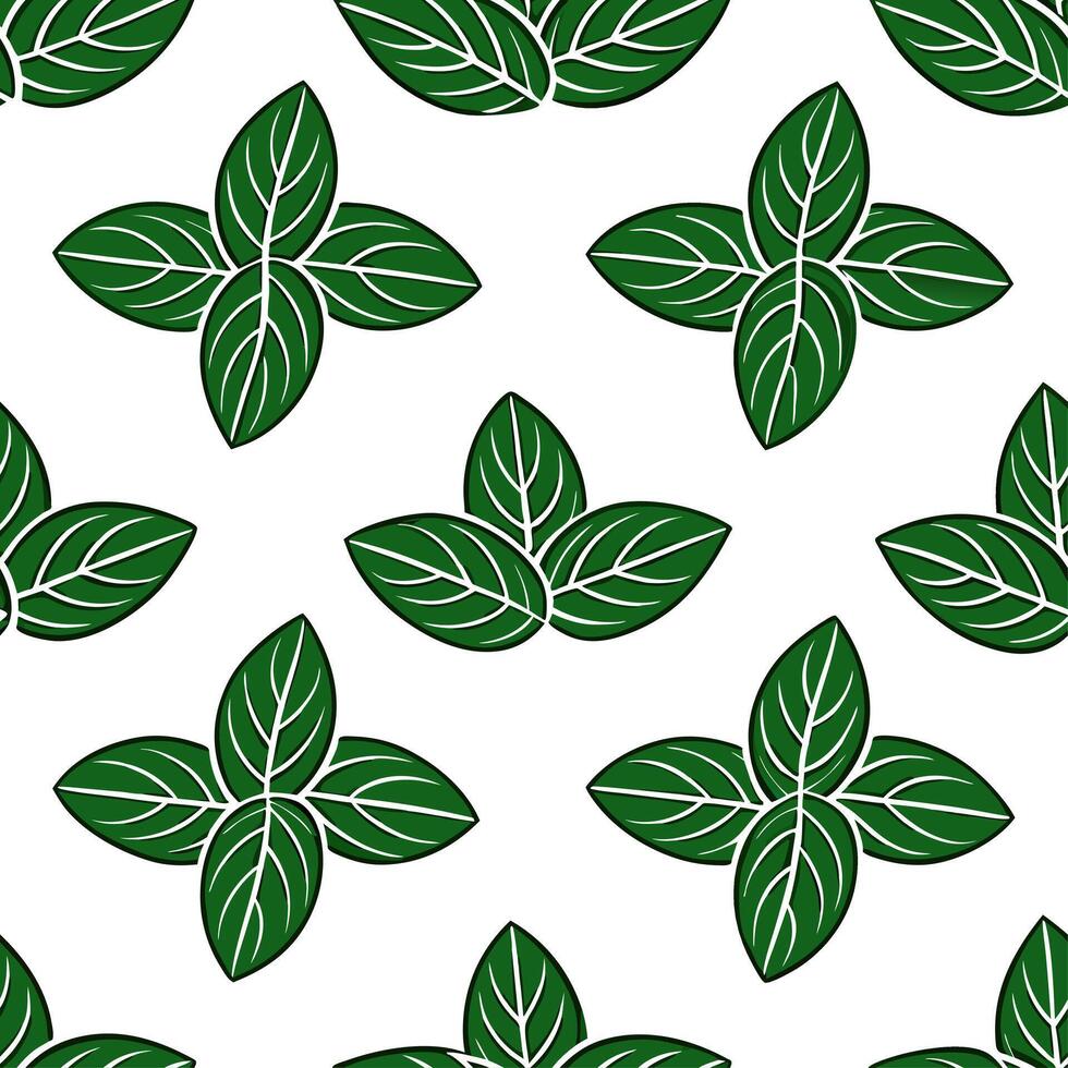Elegant herb seamless tile pattern with detailed basil leaves on a pure white background ideal for modern kitchens vector