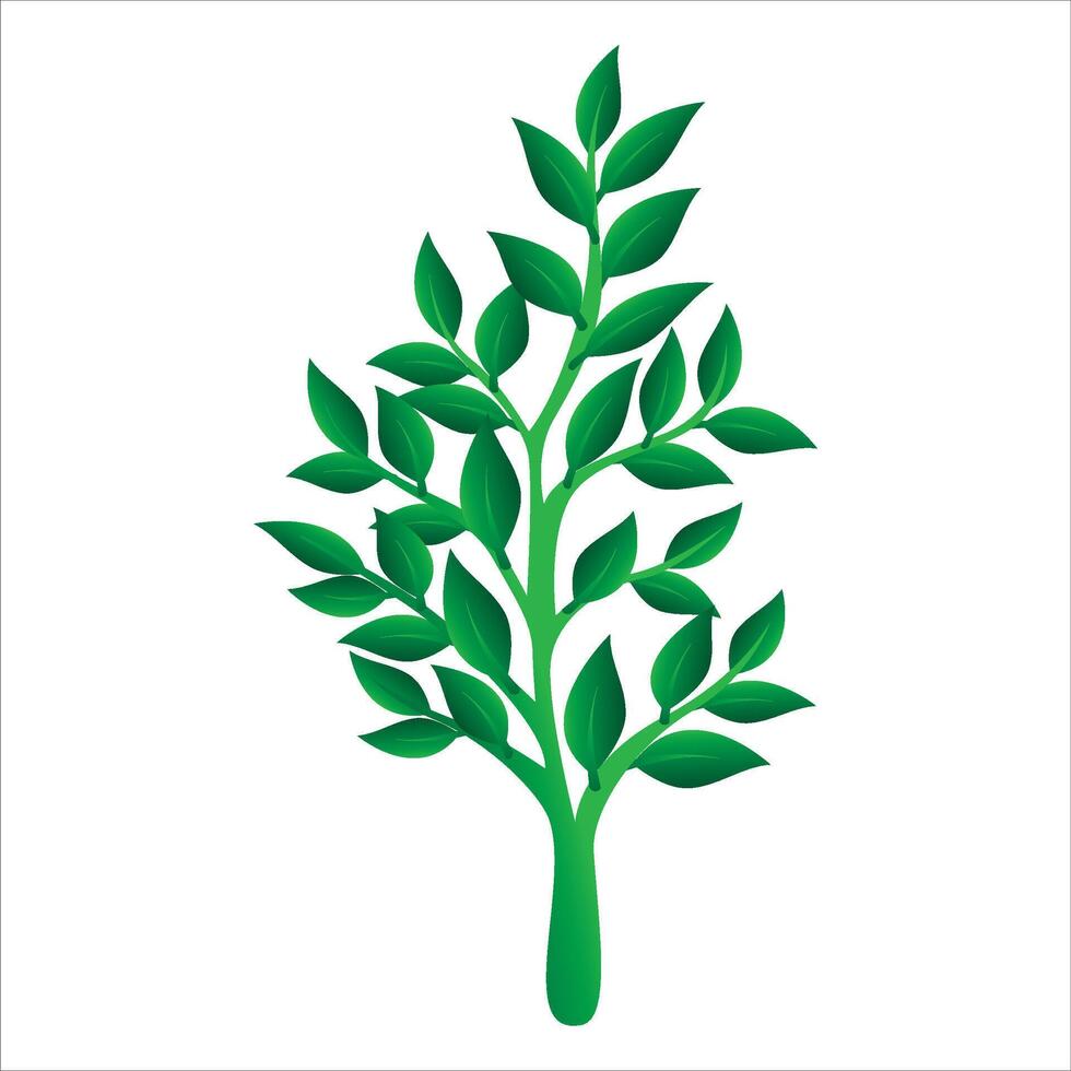 plants with fresh leaves vector
