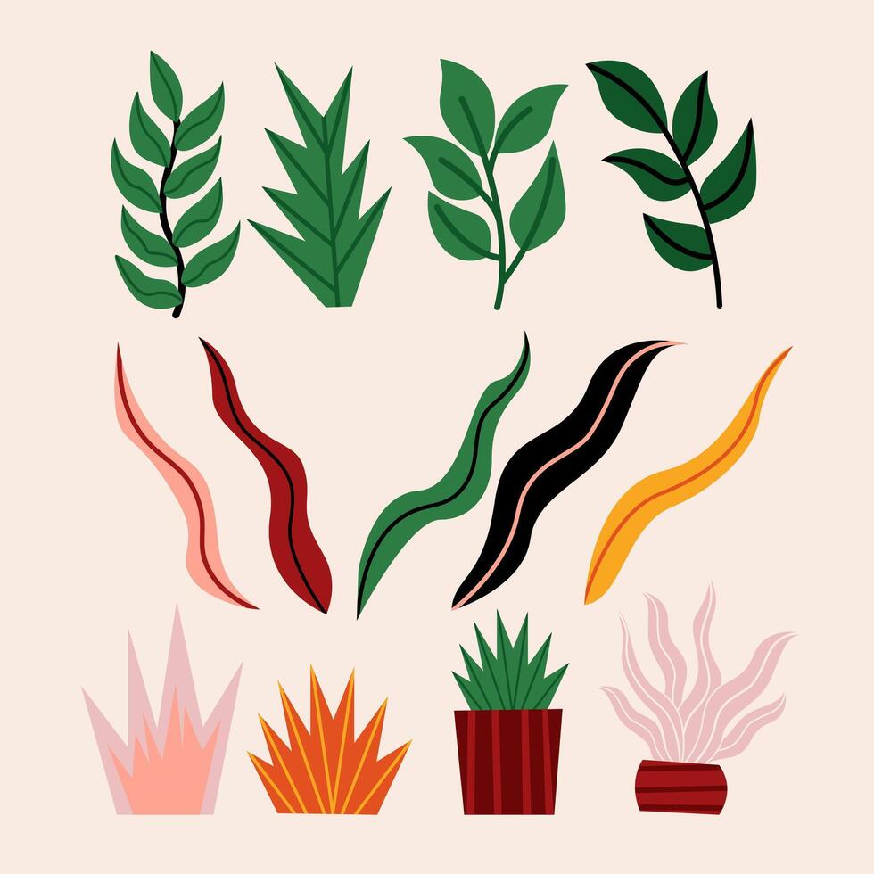 Set of Organic Plants Nature vector