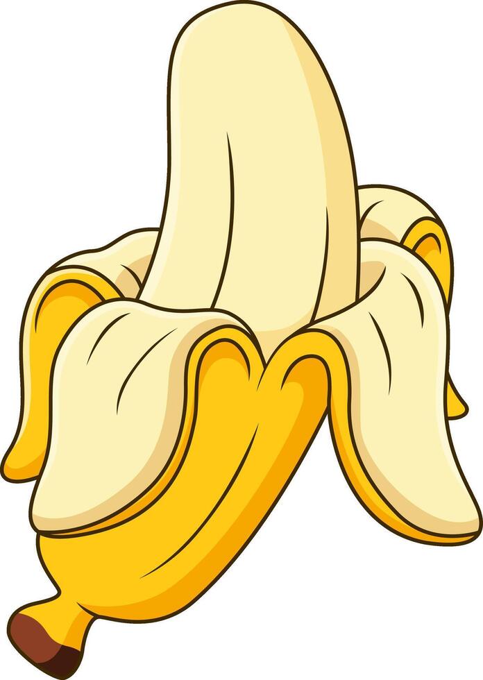 cartoon illustration of fresh yellow opened banana. fruit cartoon illustration vector