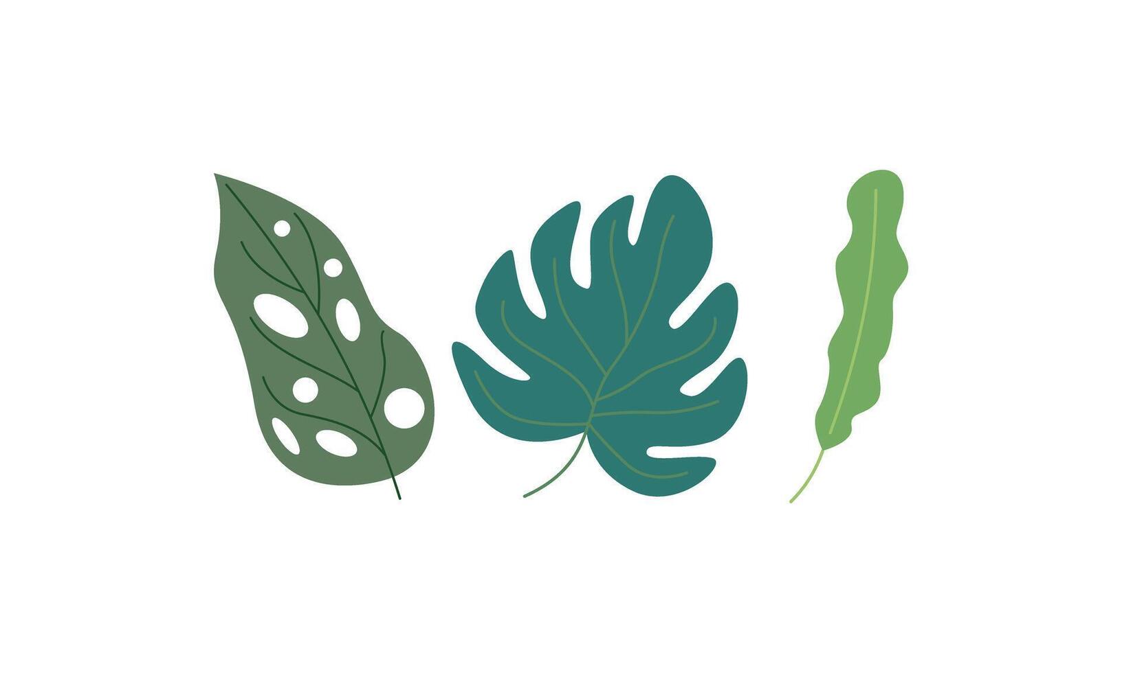 set tropical Leaves . vector