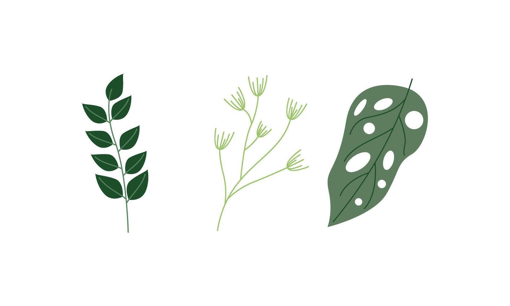 green leaves isolated on white background vector