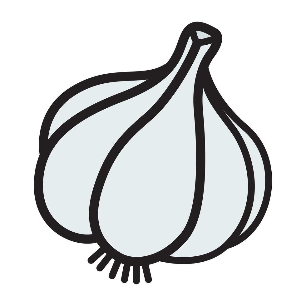 Hand Drawing of Garlic with Organic and Rustic Details vector