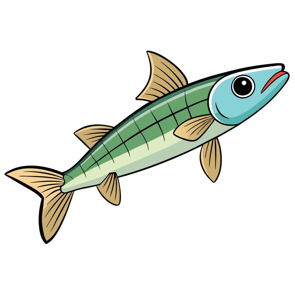 Minnow Detailed Line Art for Freshwater Species Education vector