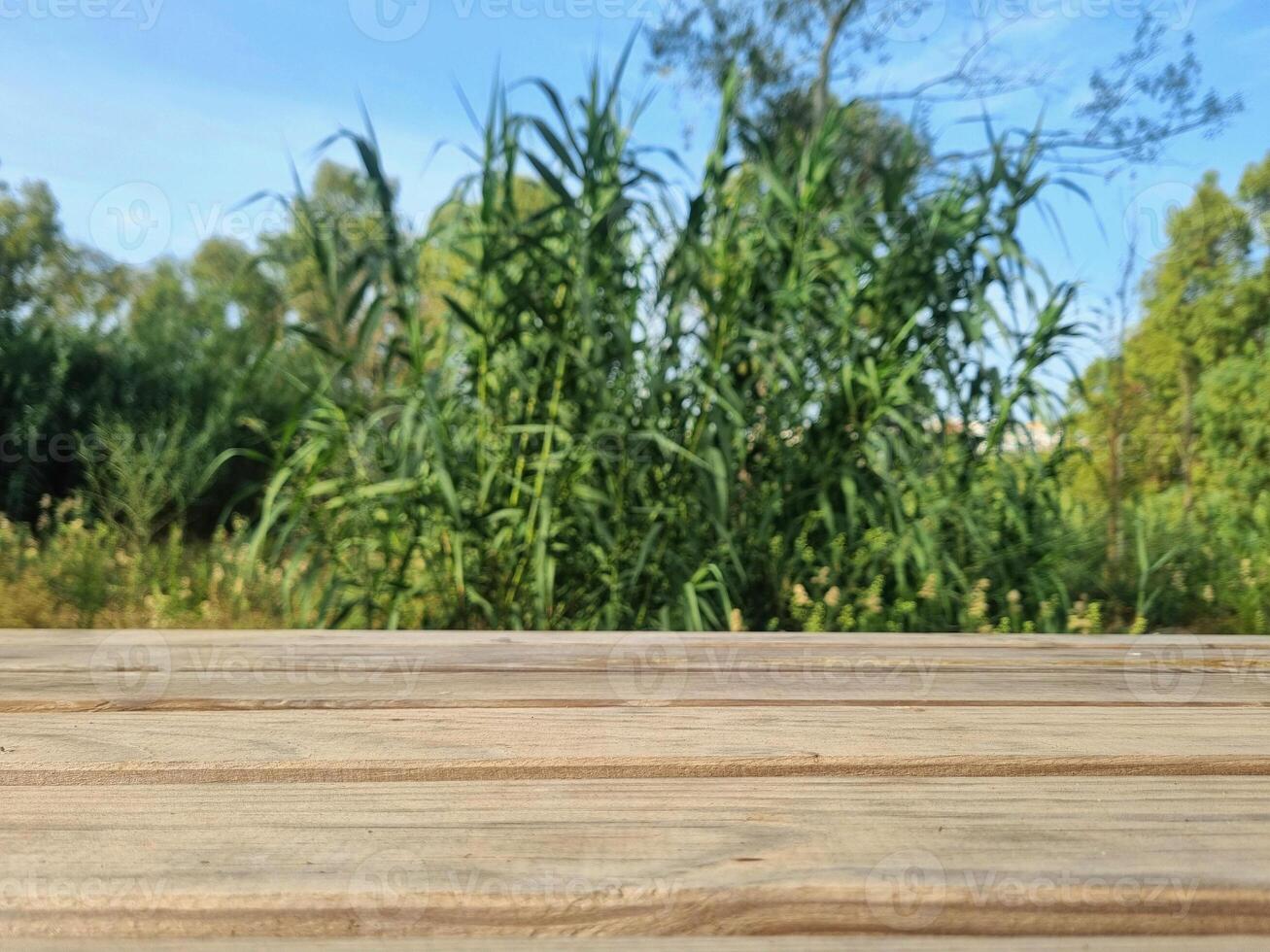 An empty table with a blurred background photo