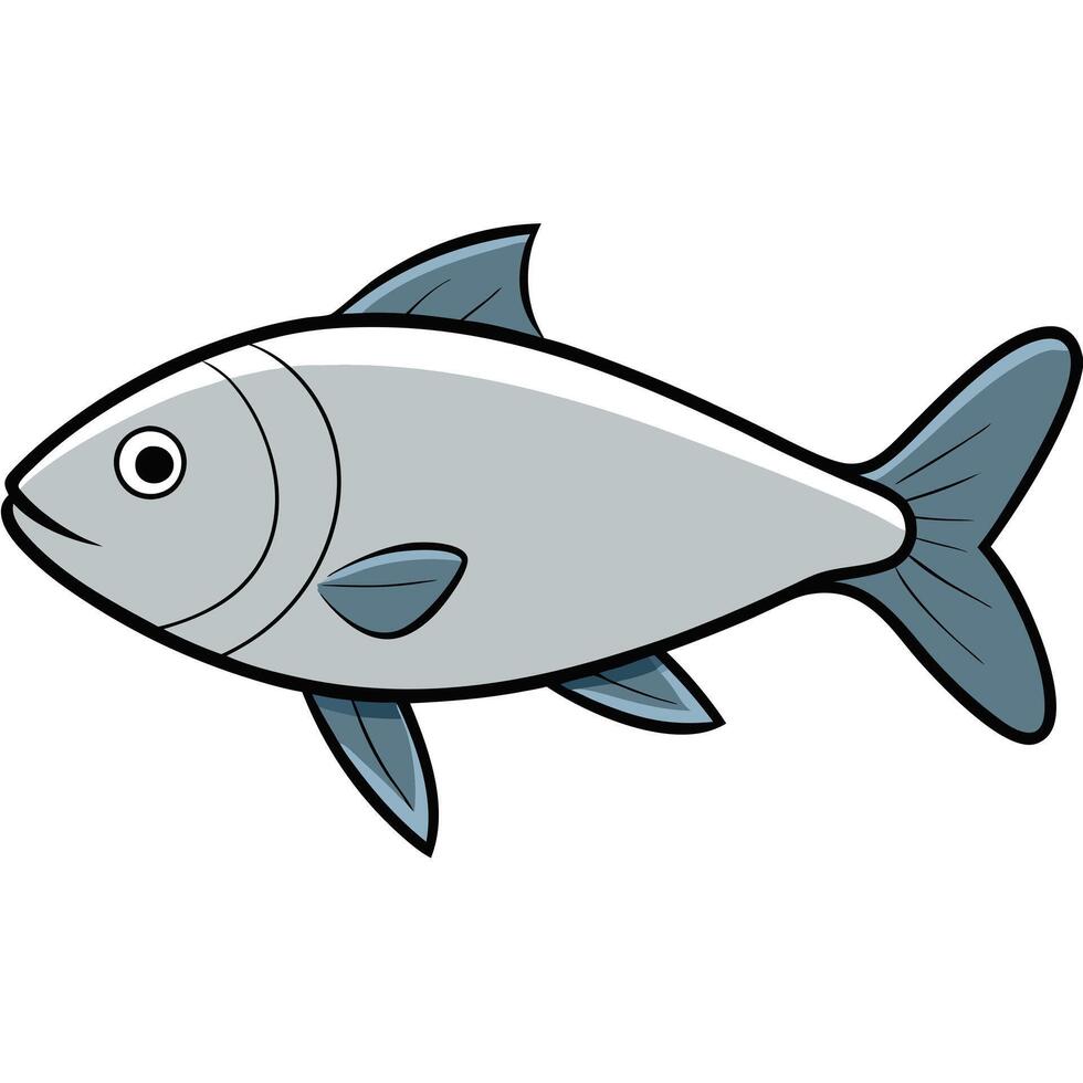 Silverside Line Drawing for Marine Life Education vector