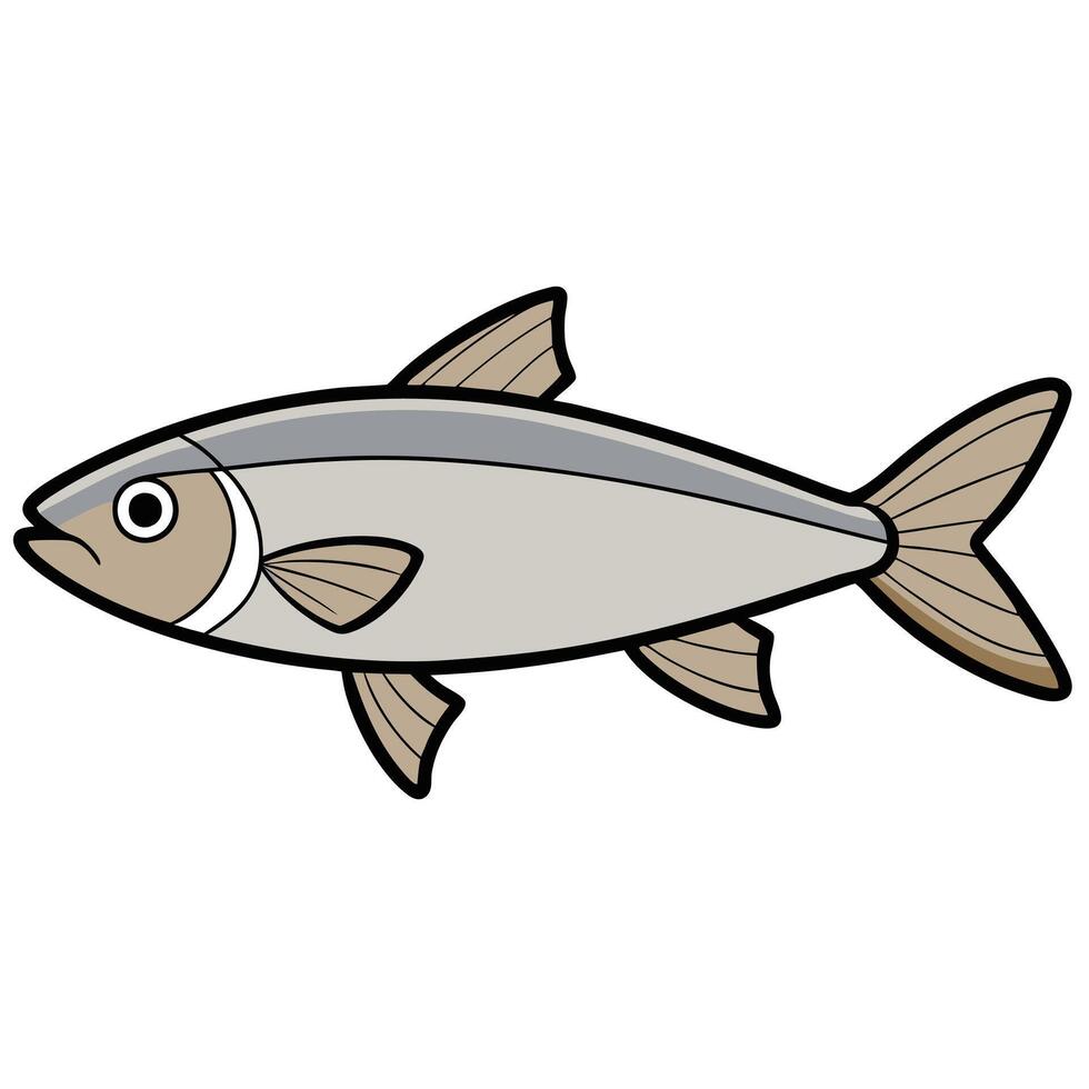 Silverside Simple Illustration for Ocean Education vector