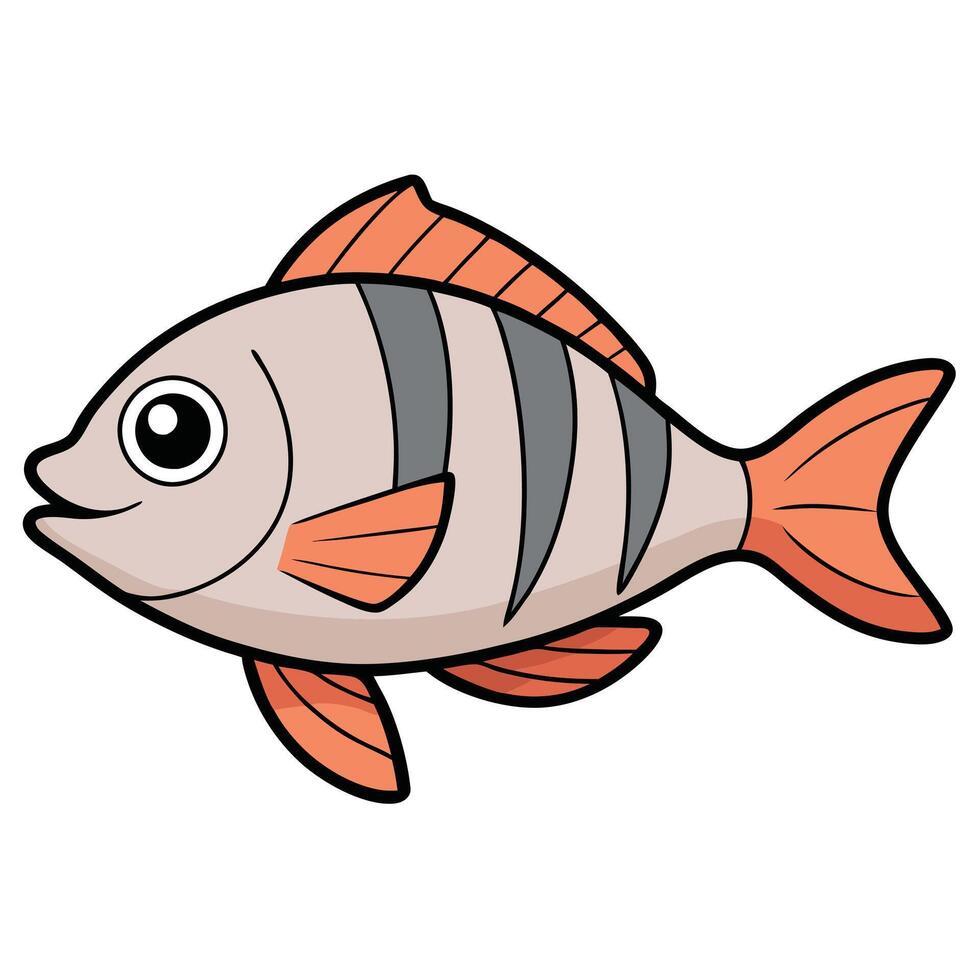 Sheepshead Outline Drawing for Seafood Business Branding vector
