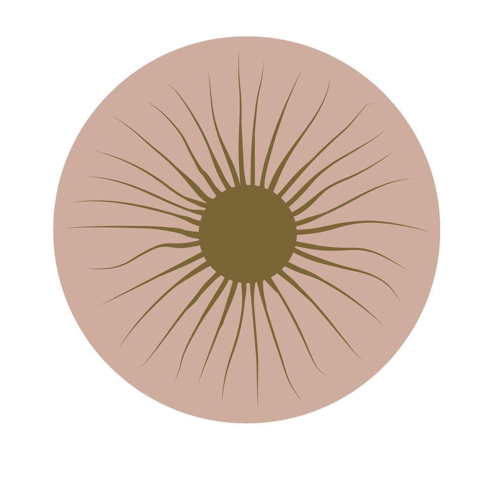 elements of elestial featuring a sun in earthy brown at the center of a peach beige circle, ideal for warm and natural cosmic designs vector