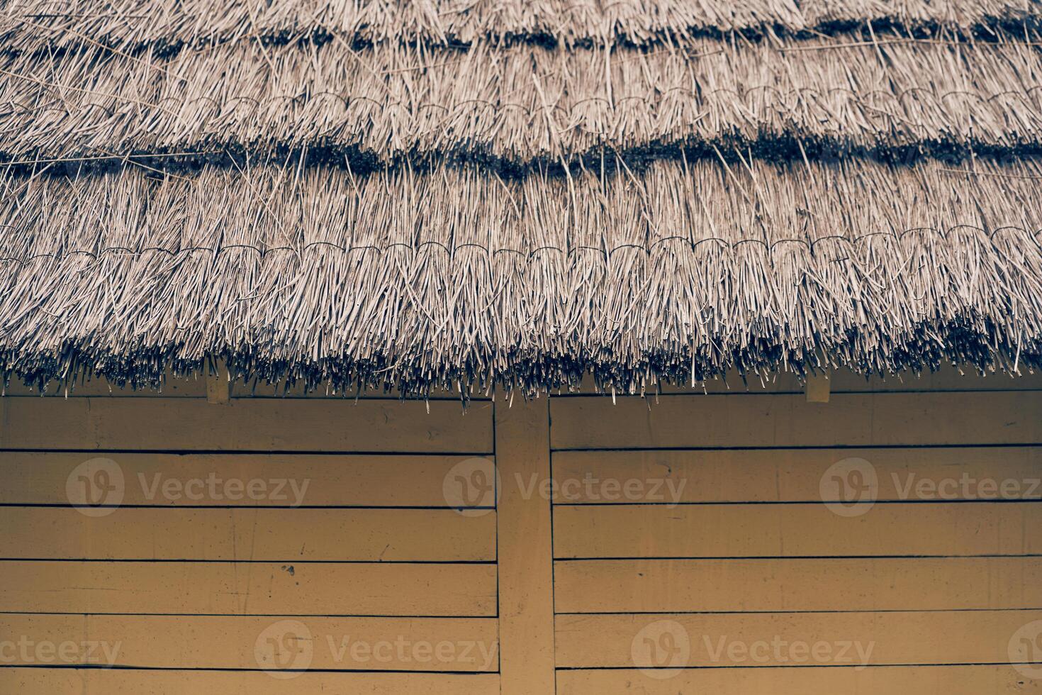 The thatched roof of an old wooden house.Straw was used as the material for the roof. With space to copy photo