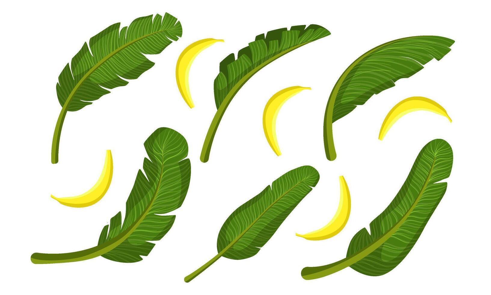 Bright Tropical Palm Leaves and Ripe Bananas Illustration vector