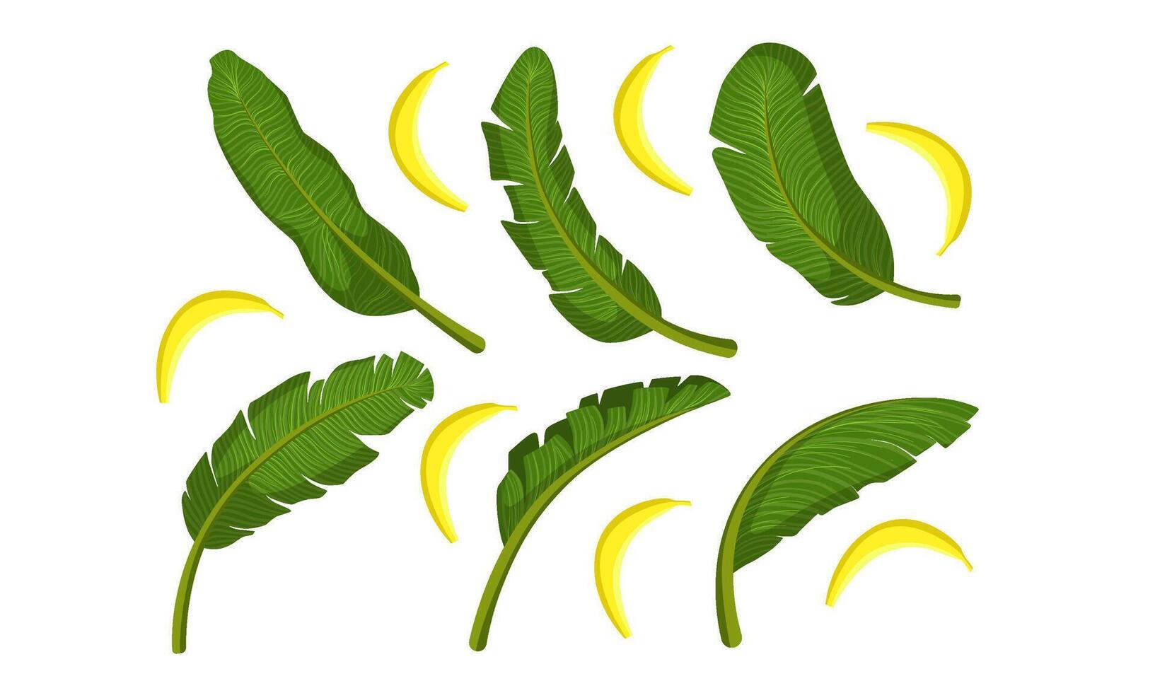 Tropical Green Palm Leaves and Ripe Bananas Illustration vector