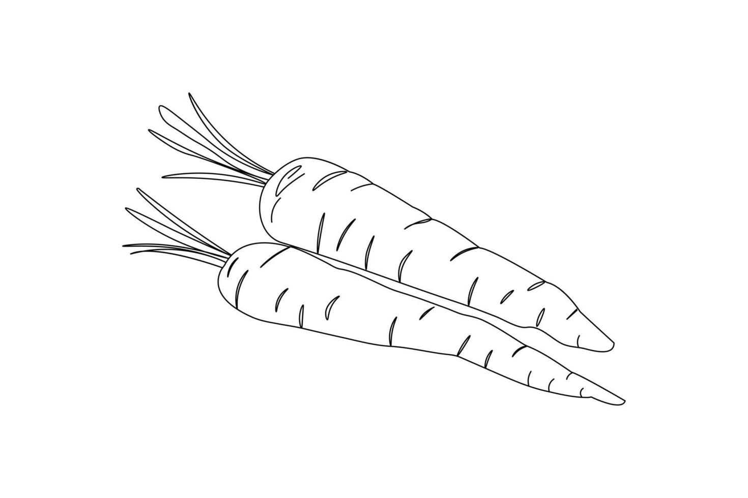 simple Continuous carrot one line drawing of single line art Isolated creative outline illustration vector