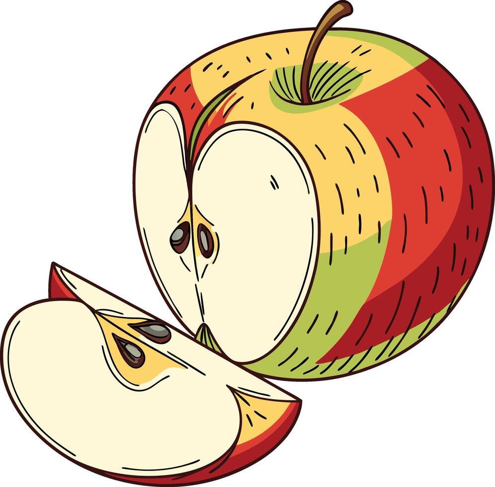 Juicy Red Apple Slices vector
