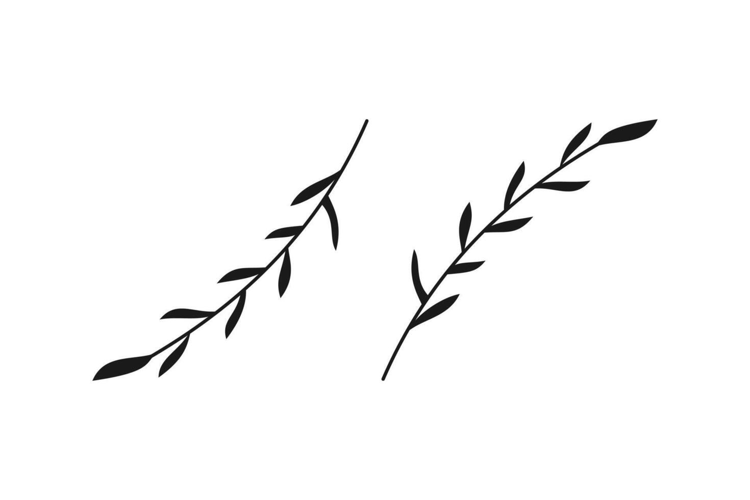 simple wheat leaves and stalks for design elements vector