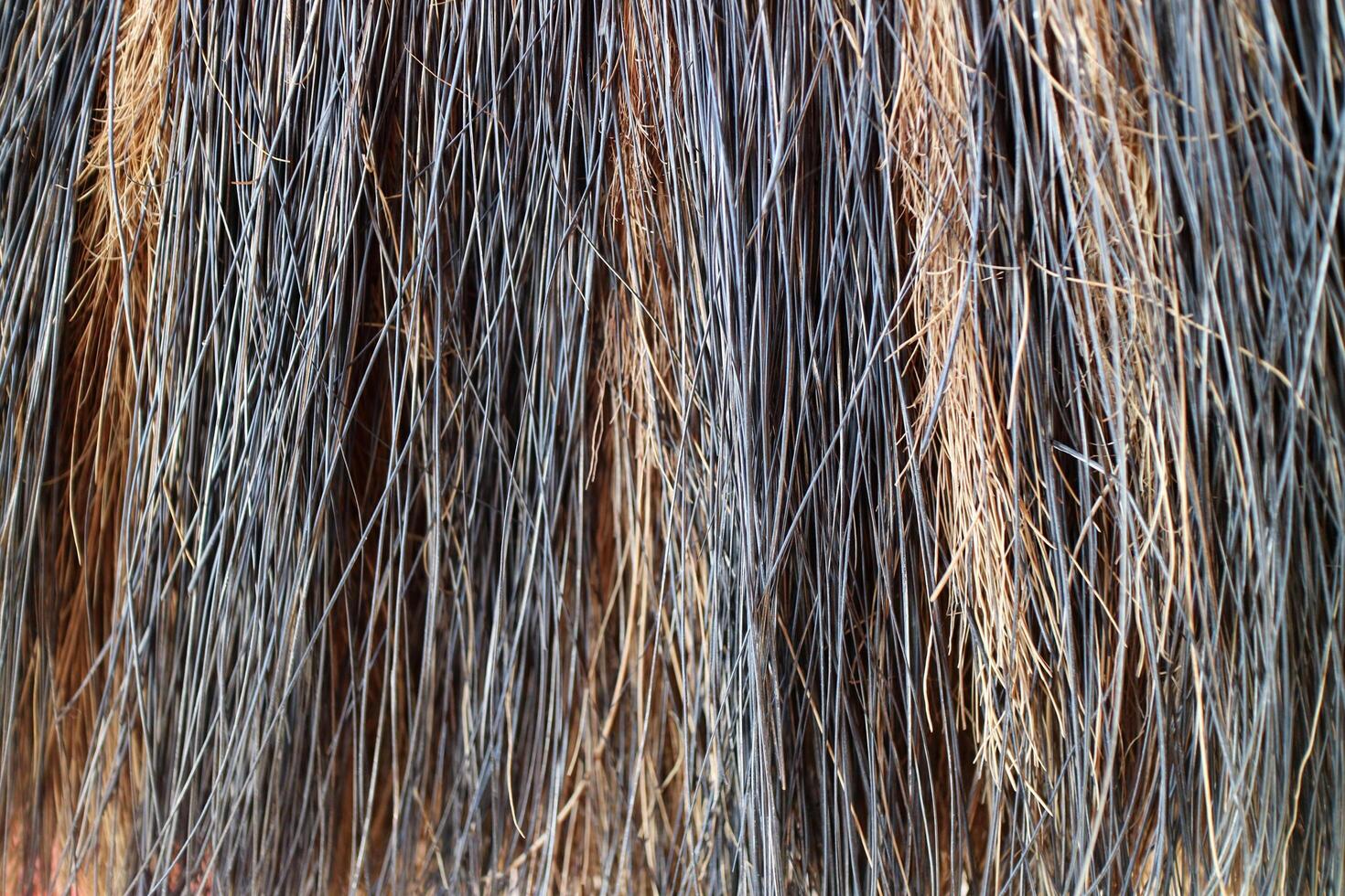 The Texture of coconut fiber broom with yellow black color photo