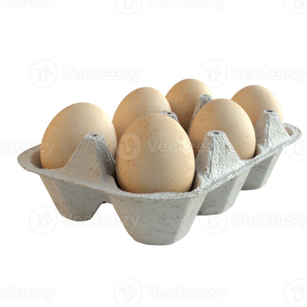 Six Brown Eggs in a Cardboard Carton png