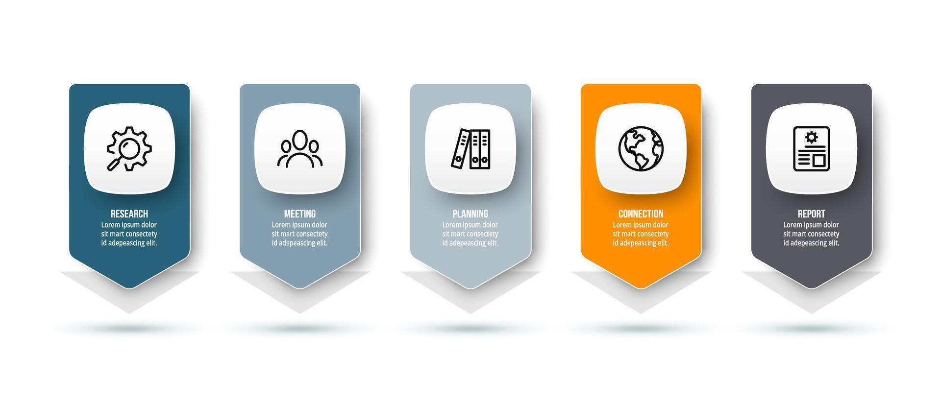 Options infographic template for business vector