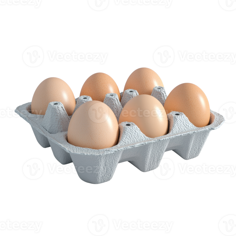 Six Brown Eggs in a Carton Displayed Neatly png