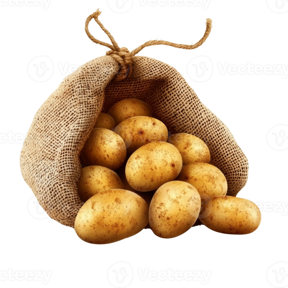 A burlap sack overflowing with fresh potatoes png