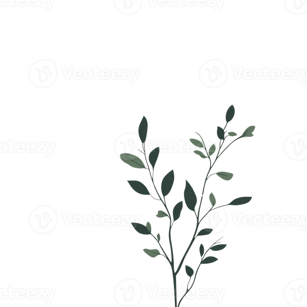 Simple Branch with Green Leaves on White Background png