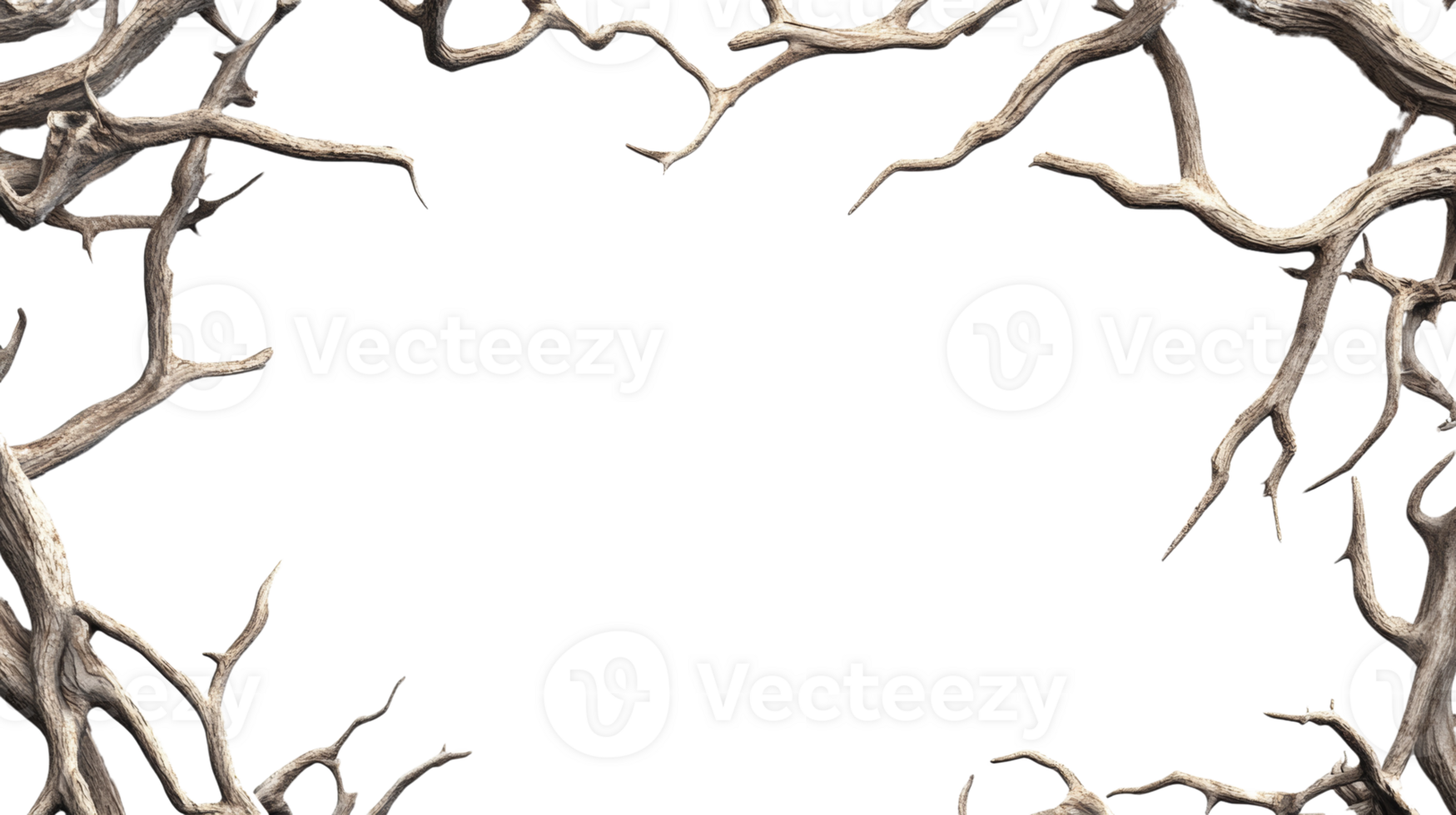 Dried Branches Frame A Dark Background png