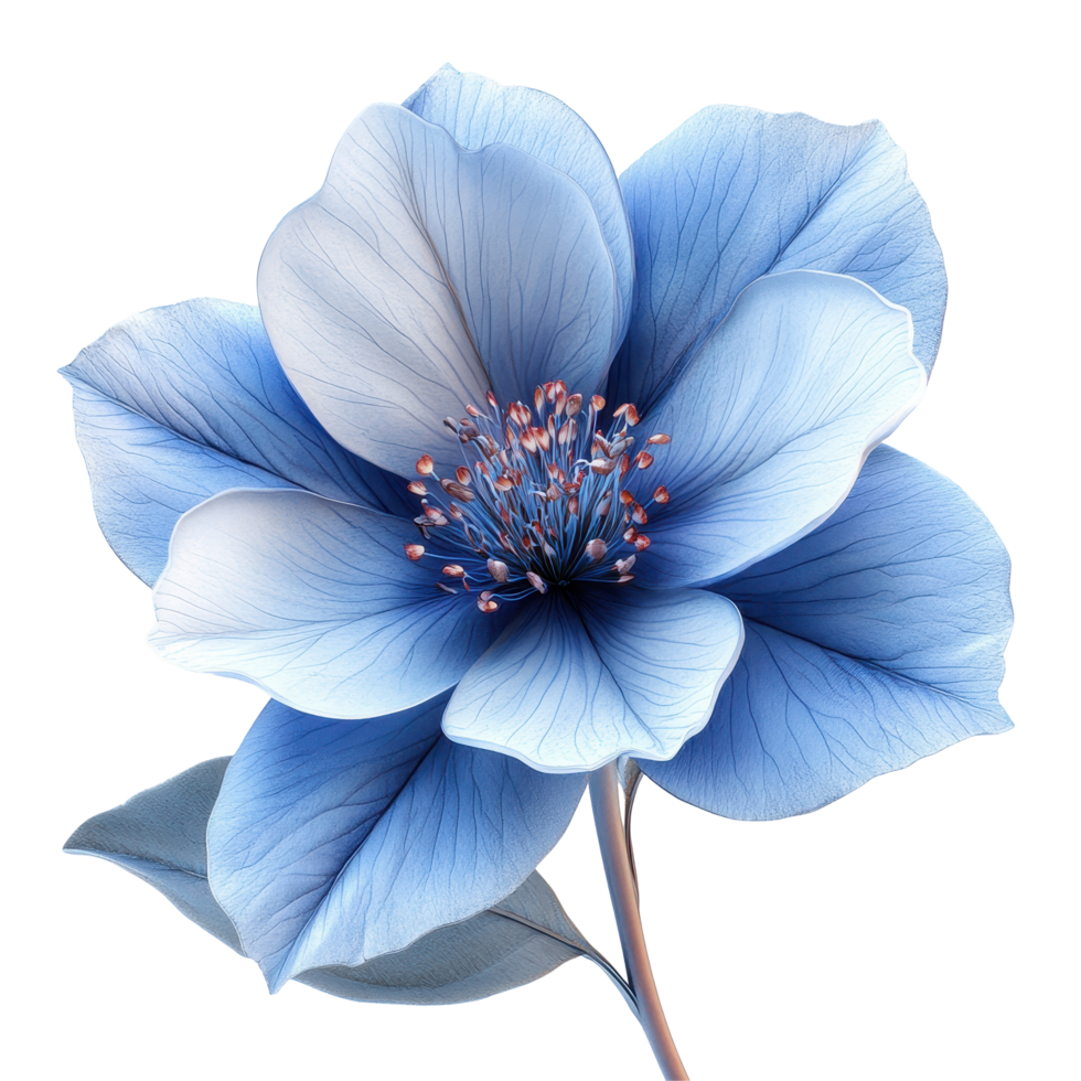 Beautiful blue flower with delicate petals and vibrant details in a natural setting during daylight isolated on transparent background. png