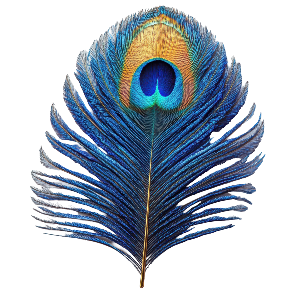 Beautiful blue peacock feather with vibrant patterns and intricate details, showcasing nature's artistry isolated on transparent background. png