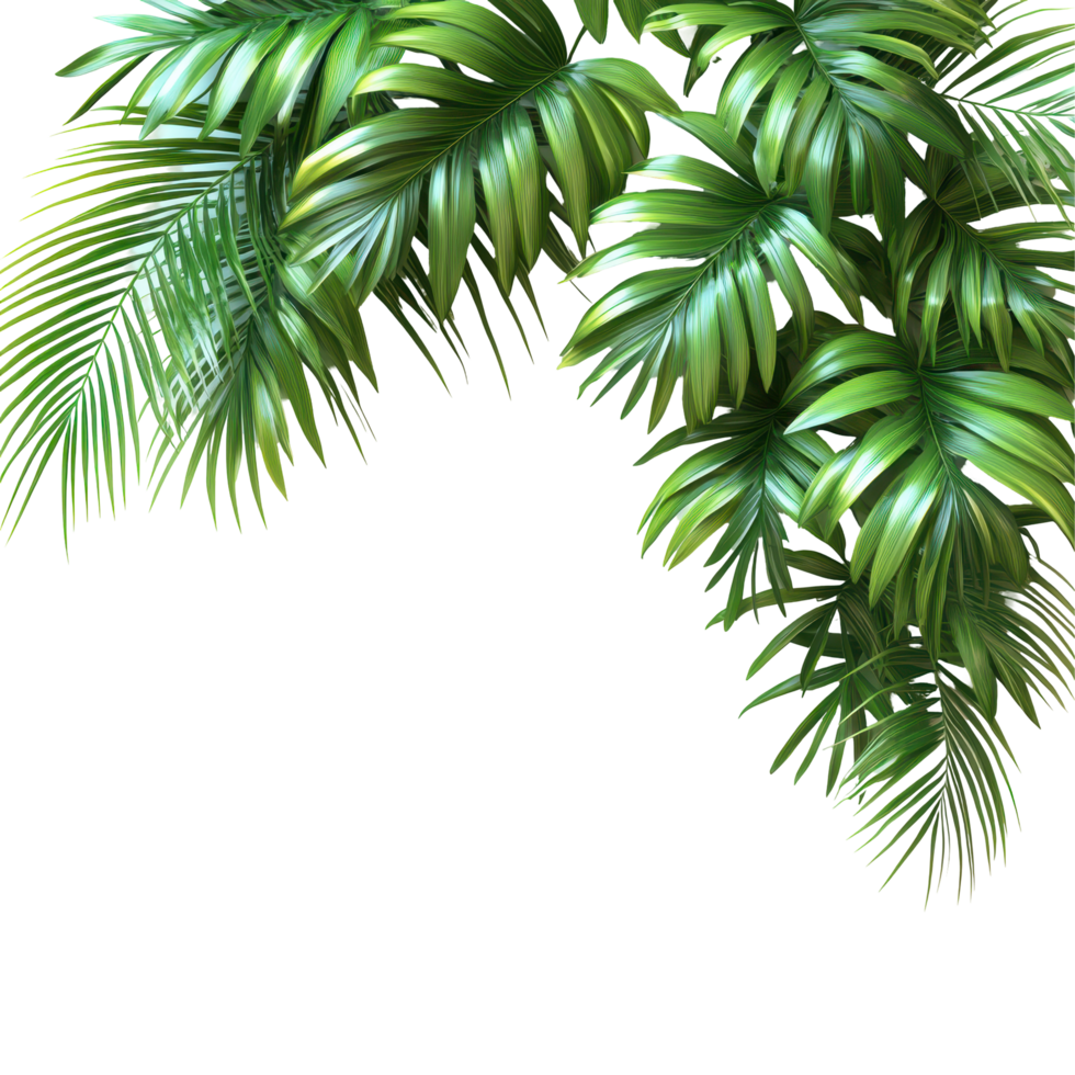 Lush palm leaves cascade from the corner of a bright background in a tropical setting isolated on transparent background. png