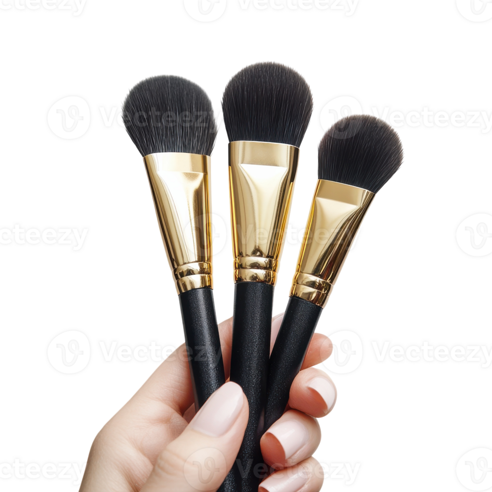Makeup Brushes White Background on transparent background. png