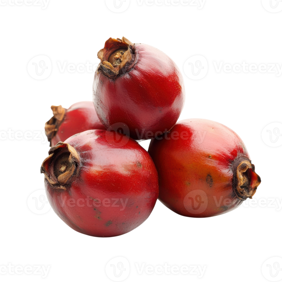 Guarana Seeds White Background on transparent background. png