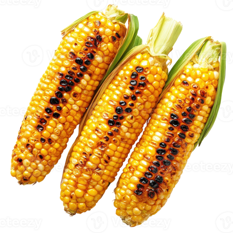 Sweet Corn Grill Summer Food on transparent background. png