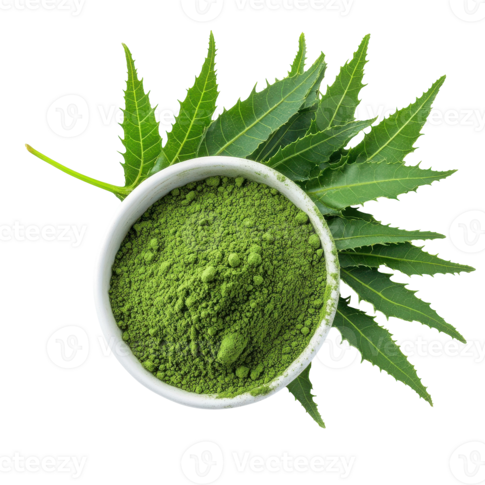 Neem Leaves and Powder for Health on transparent background. png