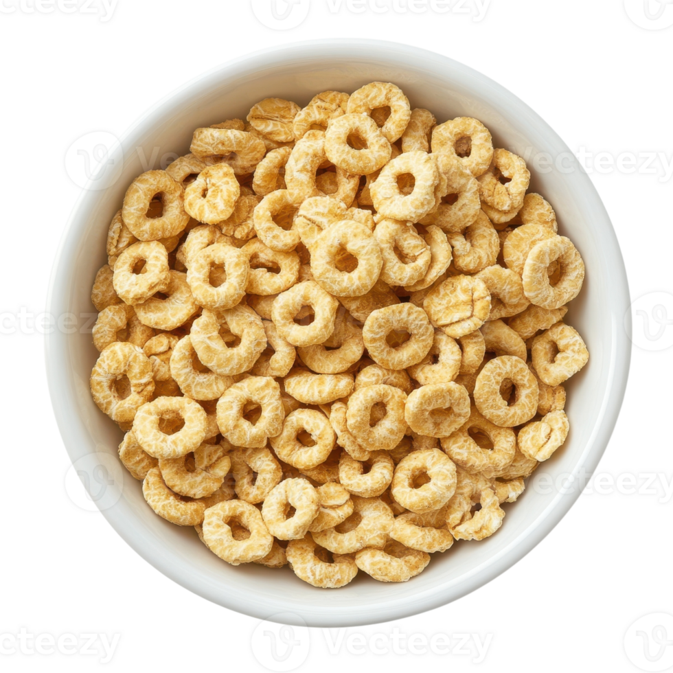 Delicious Oatmeal Cereal Bowl on transparent background. png