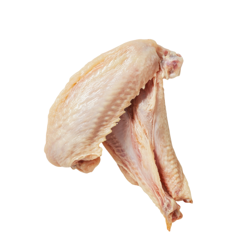 Raw Chicken Wing White Background on transparent background. png